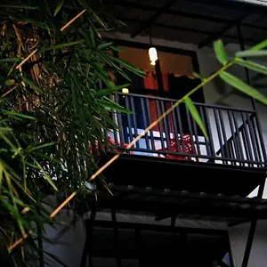 Avocado Villa