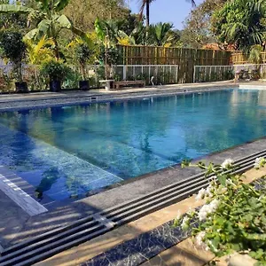 Ibiza Wonderland , Wayanad Villa