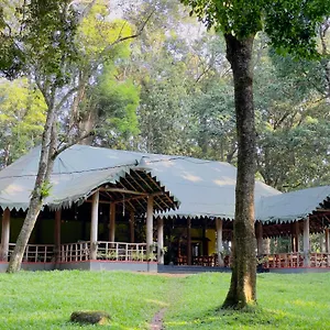 900 Woods Wayanad Eco - A Sprawling Jungle Near Glass Bridge Resort