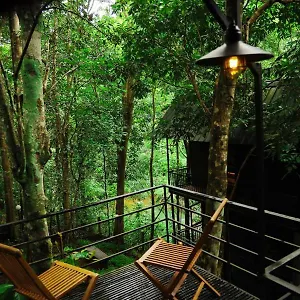 Ranches Jungle Beats Resort
